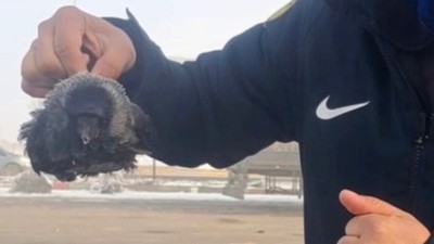 O ilde sıcaklık -30'a düştü! Soğuktan donarak öldü...
