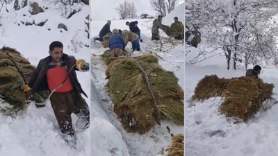 Hakkari’de çiftçilerin zorlu kış mesaisi