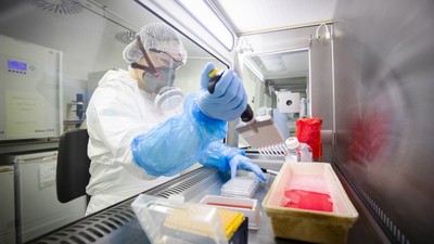 ABD Savunma Bakanlığı Türkiye'den topladığı SAT-2 virüsünü modifiye ediyor