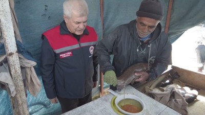 Isparta’nın Sütçüler ilçesinde tamamlanıyor! Tam 110 milyon tane yetişti