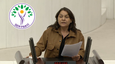 DEM Parti İstanbul Milletvekili Özgül Saki'den Meclis'te LGBT savunuculuğu