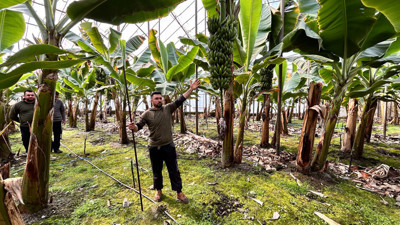 Hatay'da 45 liradan satılıyor!