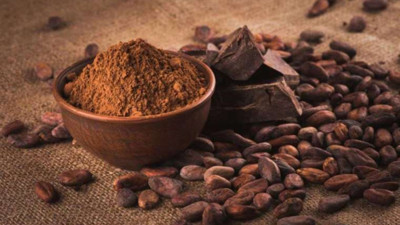 Kakao fiyatlarında ralli görülmüştü! Yüzde 30 düştü