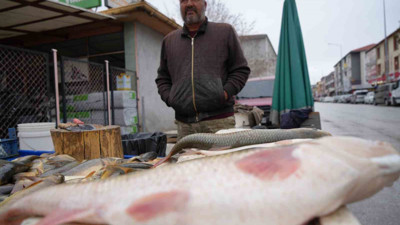 Erzincan’da 250 TL’den alıcı buluyor