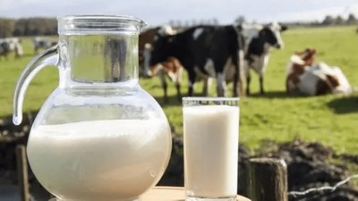En fazla süt üretimi yapılan 10 ülke listelendi! Bakın Türkiye kaçıncı sırada...