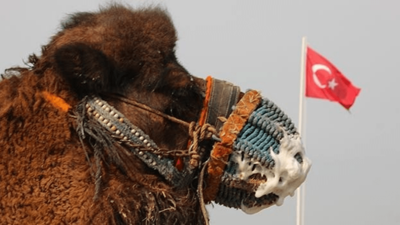 Deve nüfusunun en az olduğu 10 ülke! Türkiye de listede...