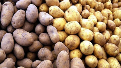 Ünlü market zinciri patatesleri raftan çekiyor! İşte sebebi