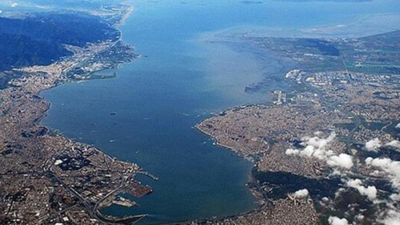 İzmit Körfezi'nde ortaya çıktı! Sayıları gittikçe artıyor