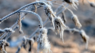 Zirai don görülecek iller belirlendi! Meteoroloji'den son dakika uyarısı