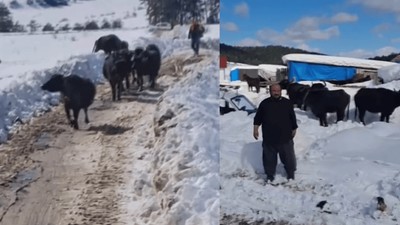 Hayvanları ile yaylada mahsur kaldı: Üç gün sonra kurtarıldı