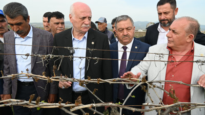 Manisa'da zirai donun etkileri yerinde incelendi