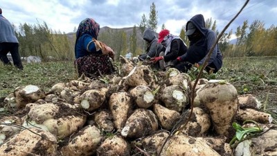 Şeker ve gıda sektöründe yeni meslek standartları yürürlükte