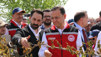 Tarım Bakanlığı Manisa'da zirai dondan etkilenenlerin sayısını açıkladı