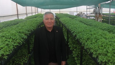 Denizli'de halka ücretsiz dağıtıyorlar