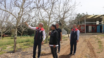 Trakya'da zirai don hasar tespiti yapılıyor