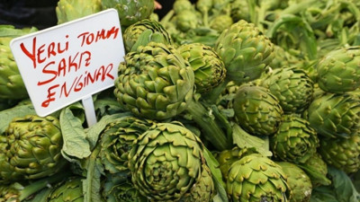 Urla Enginar Festivali ne zaman, nerede? 11. kez kapılarını açıyor!
