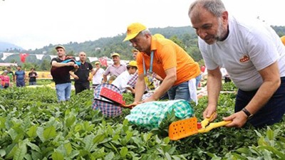 ÇAYKUR 1.500 işçi alımı başvuruları ne zaman?