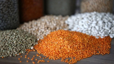 Mart ve nisan yağışları hububata olumlu yansıdı