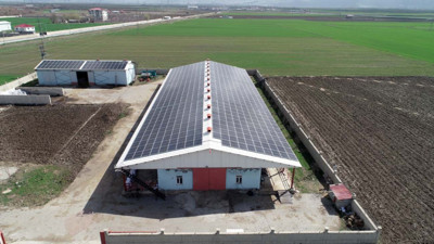 Muş'ta yıllardır elektrik faturası ödemiyor!