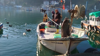 Ordu'nun Fatsa ilçesinde böylesi ilk defa görüldü! Tam 2,5 kilogramlık dev!