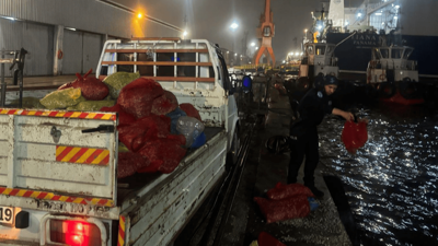 Samsun'da 2 ton midyeye el konuldu: Sürücüye para cezası