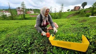 ÇAYKUR 2024 yılında 73 milyon lira kar elde etti