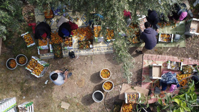 Türkiye'de en çok Mersin'de üretilip Dubai ve Irak'a gönderiliyor! 50 liradan satılıyor