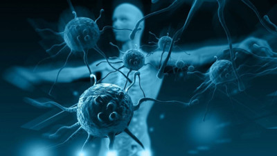 Harvardlı uzman açıkladı: Bağışıklık sistemi ruh halini etkiliyor