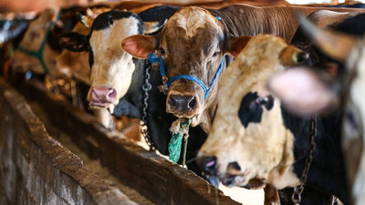 Kurban kesiminde nelere dikkat etmek gerekir? TESK Başkanı Palandöken'den dikkat çeken öneriler