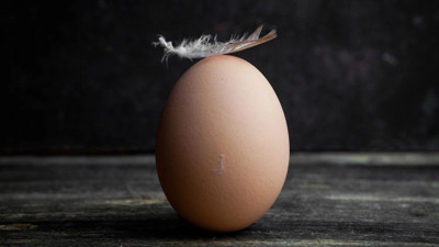 Bakın yumurtadan ne çıktı! Çankırı’nın Çerkeş ilçesinde gerçekleşti