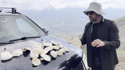 Erzincan'da doğada kendiliğinde yetişiyor! Kilosu 1250 liradan satılıyor