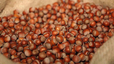 Fındık fiyatları zirvede! 6.5 dolara 'yok' satıyor