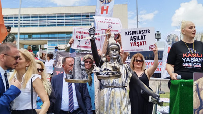 AYM Genel Kurulu sahipsiz hayvanlar düzenlemesi için toplandı, talebi reddetti