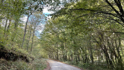 Kırklareli’nde 177 gün süreyle yasaklandı! Valilik duyurdu