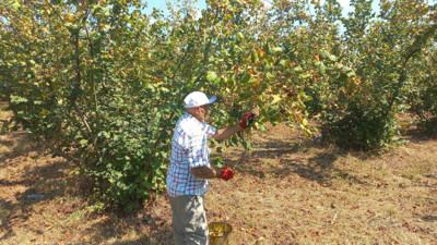 Düzce'de üretilip Avrupa'ya gönderildi! Tam 11 bin 71 ton...