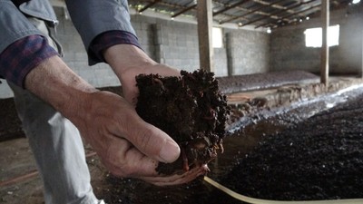 Malatya'nın Yeşilyurt ilçesinde üretiliyor! Dünyaya yayılıyor
