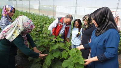 Gaziantep'te üretiliyor! Günlük 500 kilo ürün