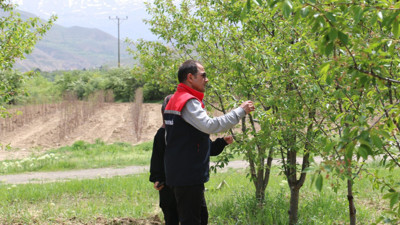 Erzincan’da ekonomiye katkı sağlıyor!