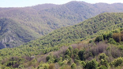 Denizli'de 5 ay süreyle yasaklandı!