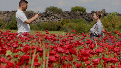 Manisa Kula'da doğa gelinciklerle renklendi