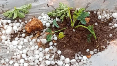 ‘Doğal afetler tarımı bitirme noktasına getirdi’