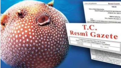 Bu balığı tutan zengin olacak! Karar Resmi Gazete'de yayımlandı