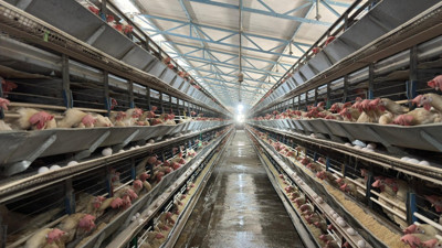 Erzincan'da dev yatırım! Yeni bir üretim tesisi kuruluyor