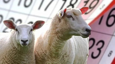 Gözler o haberdeydi! Kurban Bayramı tatili netleşti: Bayram tatili kaç gün olacak?