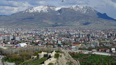 Van'da bedavaya toplanıyor! Kilosu 250 liradan satılıyor