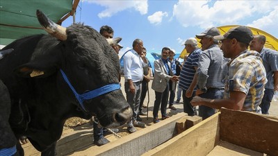 Ankara'da kurbanlık pazarında sopalı saldırı!