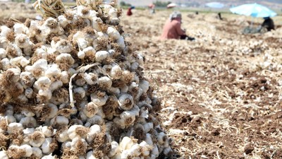 Gaziantep'te üretilip 150 liraya satılıyor! 10 bin işçi çalışıyor ve 2500 TL kazanıyor