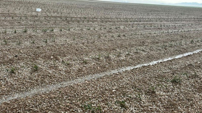 Aksaray’da sağanak ve dolu tarım arazilerini vurdu