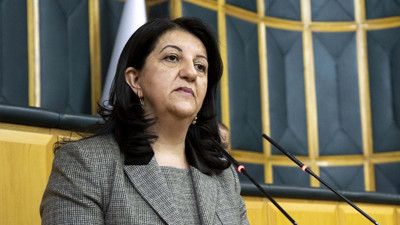 DEM Parti Meclis Başkanvekili belli oldu