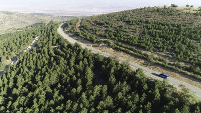 Kırıkkale Valiliği duyurdu! 31 Ekim'e kadar yasaklandı